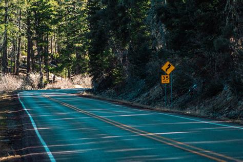 Empty Road in Forest · Free Stock Photo