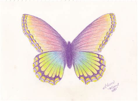 Dragonfly Pencil Drawing at GetDrawings | Free download