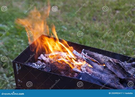 Flame of Fire Burning in the Brazier Stock Image - Image of brazier, flame: 255992417