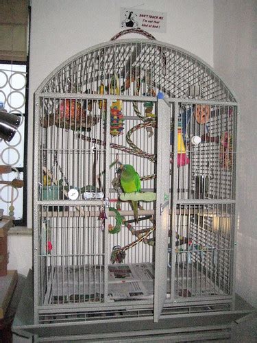 Bird Cages: Conure Cage Setups | Discount Parrot Supplies