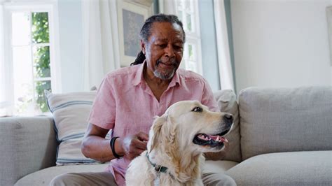 Senior Man Sitting On Sofa At Home With Pet Stock Footage SBV-323670843 ...