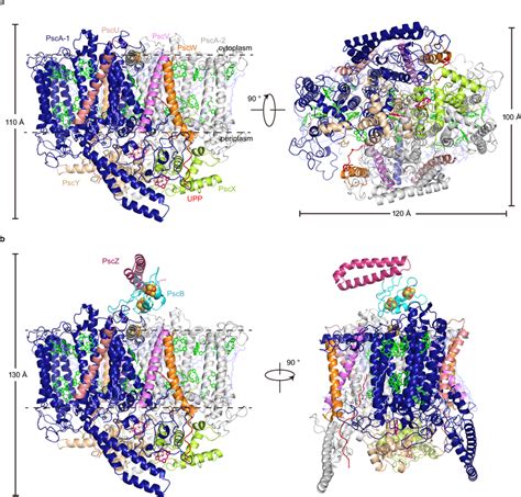 Two structural forms of the CabRC a Structure of the CabRCS complex... | Download Scientific Diagram