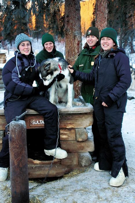 Winter At Denali National Park