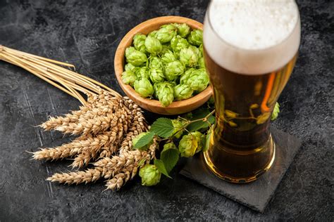 Growing environment impacts the aroma of beer and hops - Earth.com