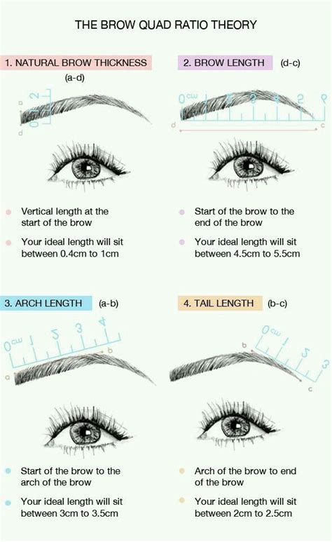 Pin by Lillian on Luminous Skincare&Makeup Studio | Perfect eyebrows tutorial, Perfect eyebrow ...