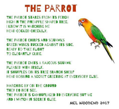 Pin by MEL WOODEND WRITING on Poetry | Green wing, Parrot, Poetry