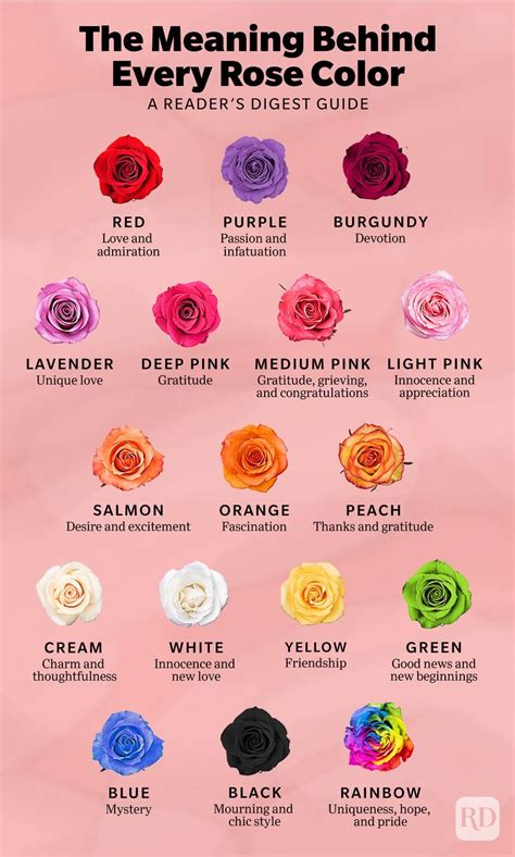 17 Rose Color Meanings to Help You Choose the Perfect Bouquet