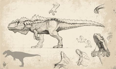 Dinosaurs Drawing Reference and Sketches for Artists | Dinosaur drawing ...