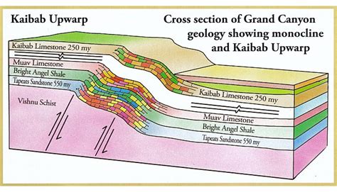 Grand Canyon strata show geologic time is imaginary