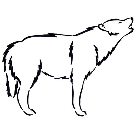 Timber Wolf Drawing | Free download on ClipArtMag