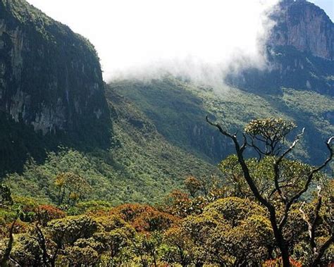 THE BEST French Guiana Mountains to Visit (2024) - Tripadvisor