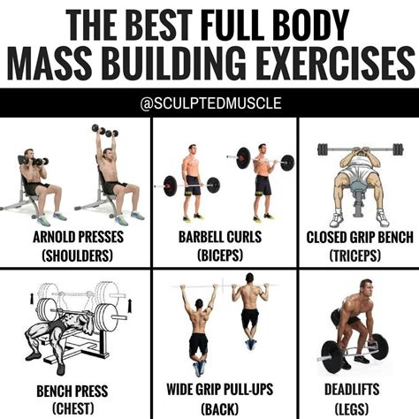 THE BEST FULL BODY MASS BUILDING EXERCISES by @sculptedmuscle - Contrary to popular belief all ...