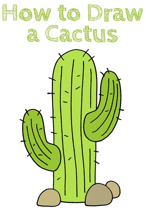 How to Draw a Cactus Step-by-Step - Draw for Kids