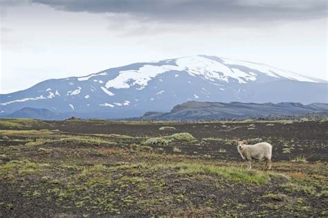 Hekla | Active Volcano, Eruptions & Iceland | Britannica