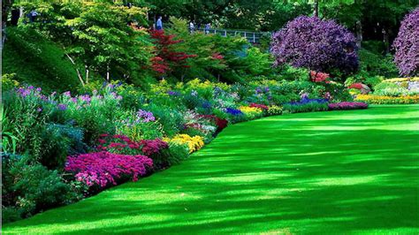 Garden Park With Green Grass And Colorful Flowers HD Garden Wallpapers ...