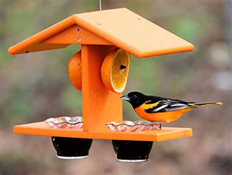 Baltimore Oriole Bird Feeder