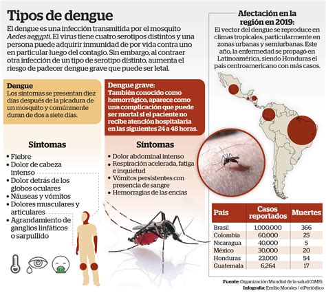 Consejos para controlar la propagación de mosquitos portadores de dengue, zika y chikungunya ...