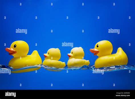 Four ducks in a row hi-res stock photography and images - Alamy