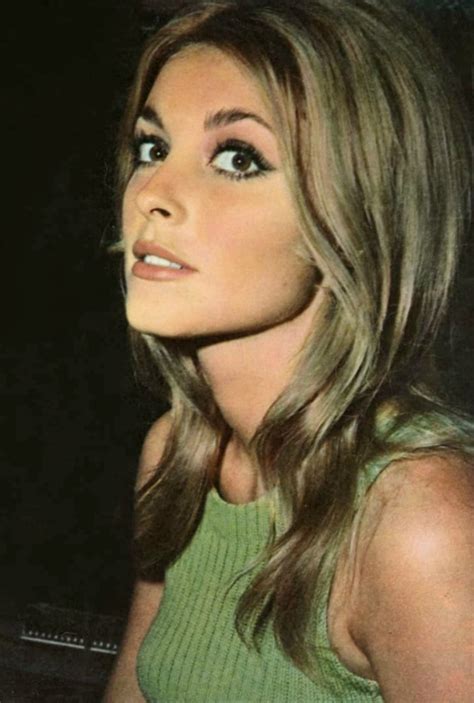 Sharon Tate photographed by Tony Grylla (1965) | Sharon Tate fan Lily ...