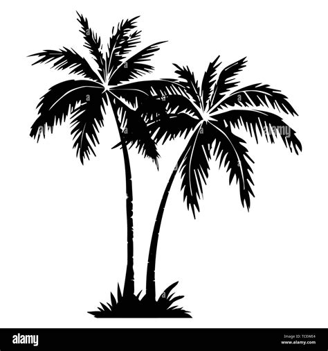 a black and white silhouette of two palm trees