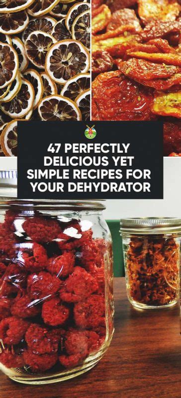 47 Perfectly Delicious Dehydrator Recipes You Will Want to Try