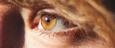 How rare are amber eyes and what makes them unique? - Glasses Direct Blog