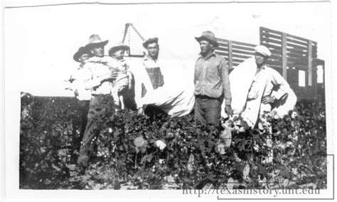 Cotton Pickers - Side 1 of 1 - The Portal to Texas History