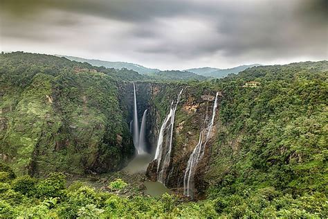 Western Ghats Region, India | The Big Wild