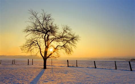 photography, Landscape, Nature, Trees, Sunrise, Winter, Snow, Field Wallpapers HD / Desktop and ...