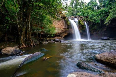 Khao Yai National Park, Thailand - South East Asia Backpacker