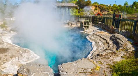 Whakarewarewa Village Tour