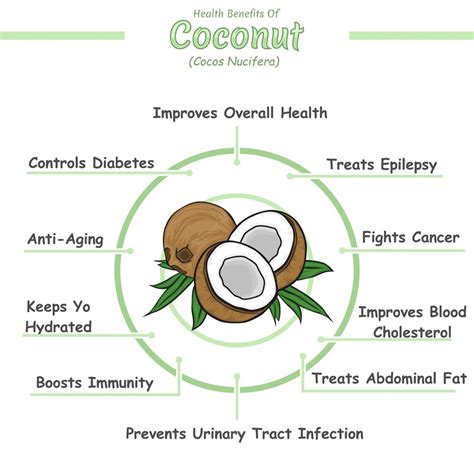 Premium Vector | Health benefits of coconut