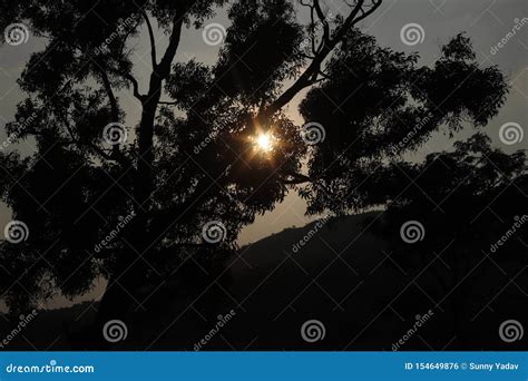 Landscape Photography, Sunset, Tree, Beautiful Nature Stock Photo - Image of tree, nature: 154649876