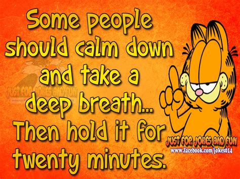 Some people should calm down and take a deep breath ... | Garfield quotes, Funny minion quotes ...