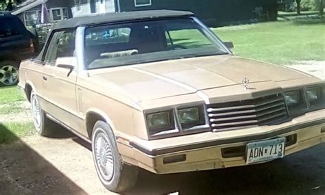 1984 Dodge 600 Convertible for sale: photos, technical specifications ...