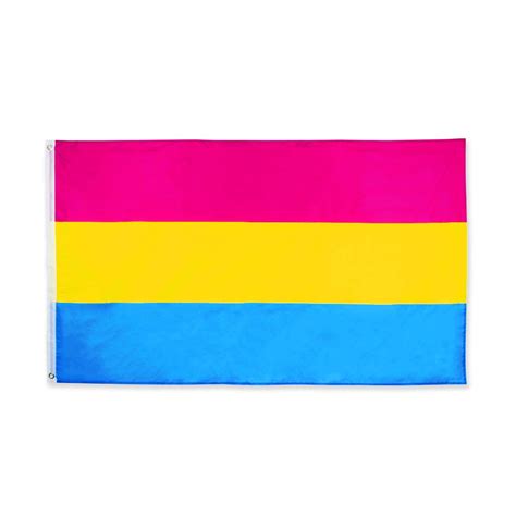 Buy LINK Pansexual 3x5Fts - Pansexuality Omnisexuality Pride Banner ...