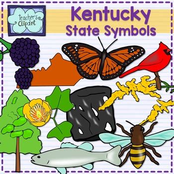 Kentucky state symbols clipart by Teacher's Clipart | TpT