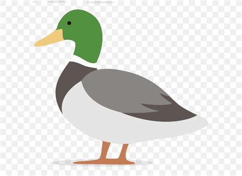 Vector Graphics Duck Illustration Image, PNG, 600x600px, Duck, American ...