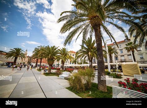 Palm trees and blue sky with clouds on the promenade in Spilit, Croatia ...