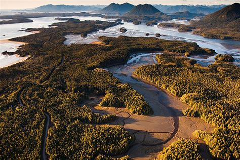 Tofino Mudflats, Tofino, BC | GoTofino.Com