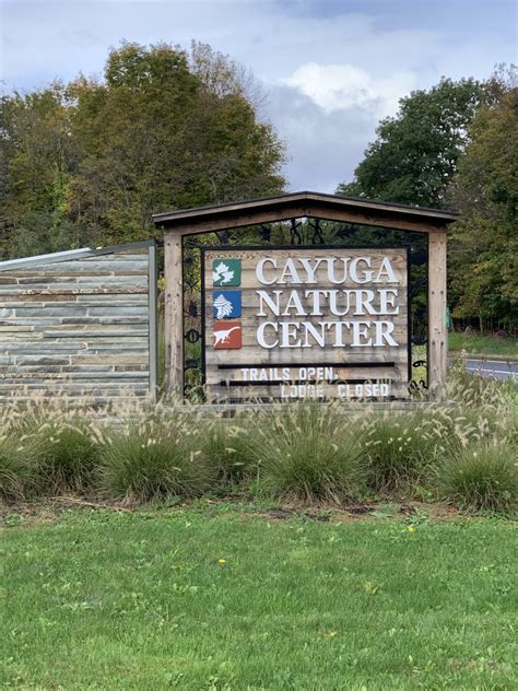 Why You Should Visit The Cayuga Nature Center In Ithaca New York - Northeast Allie