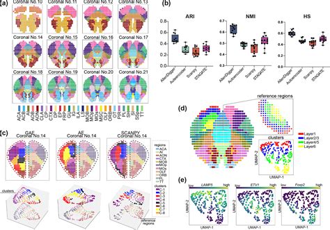 AllenDigger, a Tool for Spatial Expression Data Visualization, Spatial ...