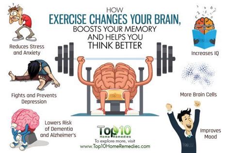 How Exercise Changes Your Brain, Boosts Your Memory and Helps You Think Better | Top 10 Home ...