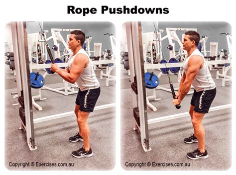 Rope Pushdowns