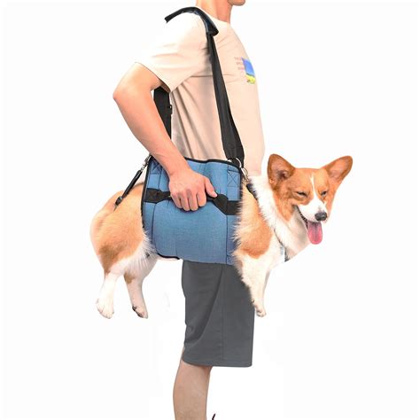 COODEO Dog Carry Sling, Emergency Backpack Pet Legs Support ...