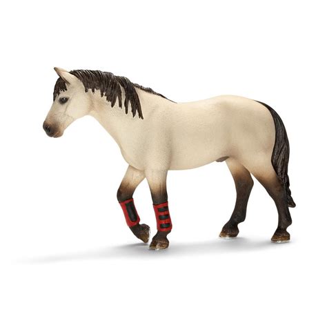 Amazon.com: Schleich Trained Horse Toy Figure: Toys & Games