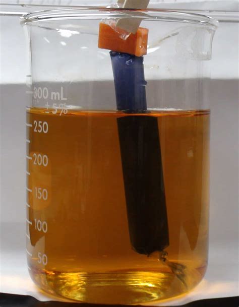 Selective Permeability of Dialysis Tubing Lab: Explained | SchoolWorkHelper