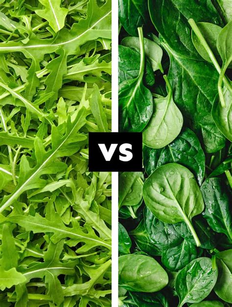 Arugula Vs. Spinach: Which Is Better? | Live Eat Learn