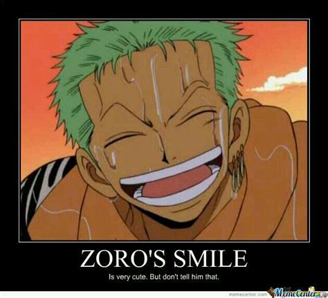 One Piece Memy | Zoro one piece, One piece anime, One piece funny