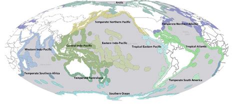 Biogeographical regions of the world